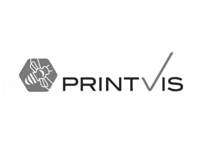 PrintVis (transparent) 650x480