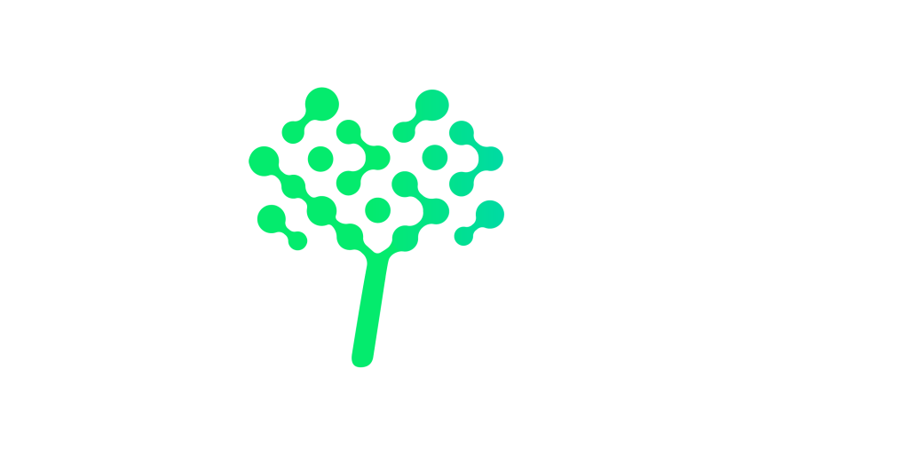 full Braintree logo in light brand colours