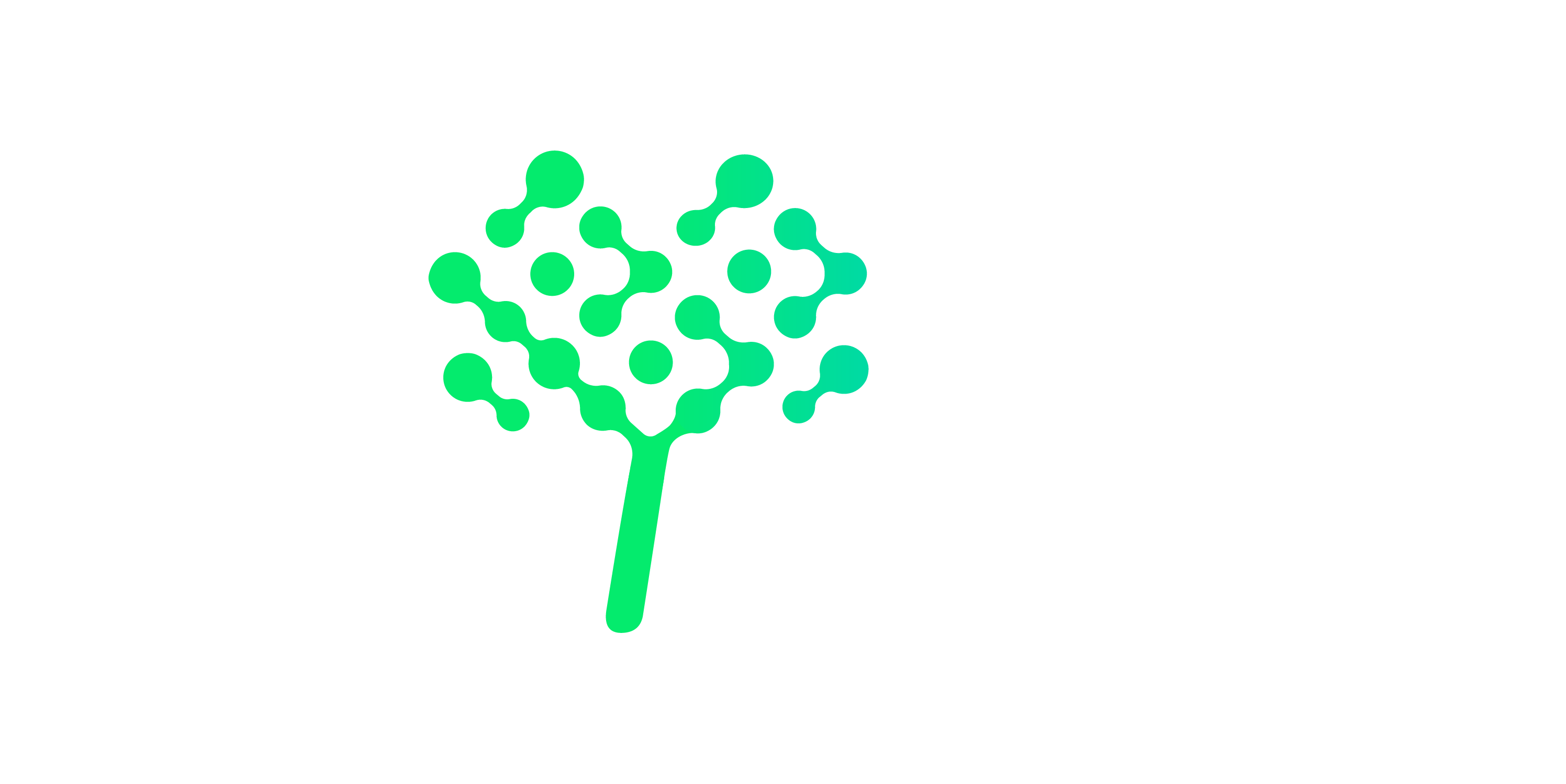 full Braintree logo in light brand colours
