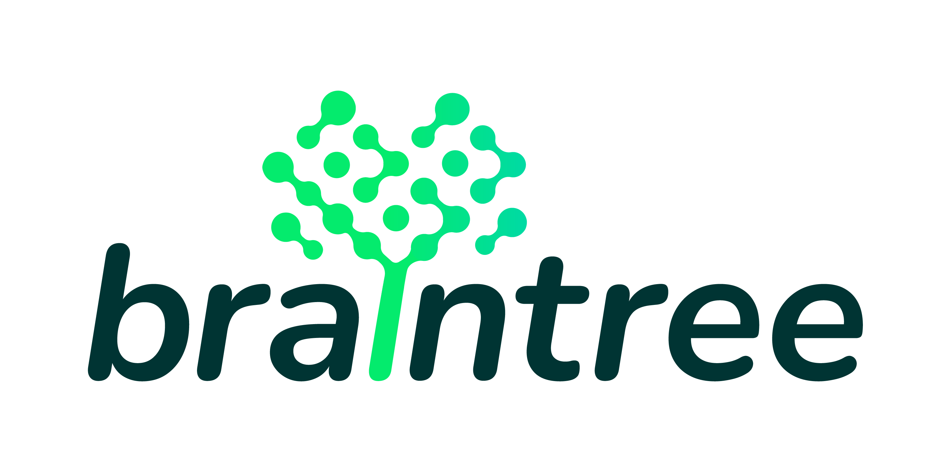 full Braintree logo in dark brand colours