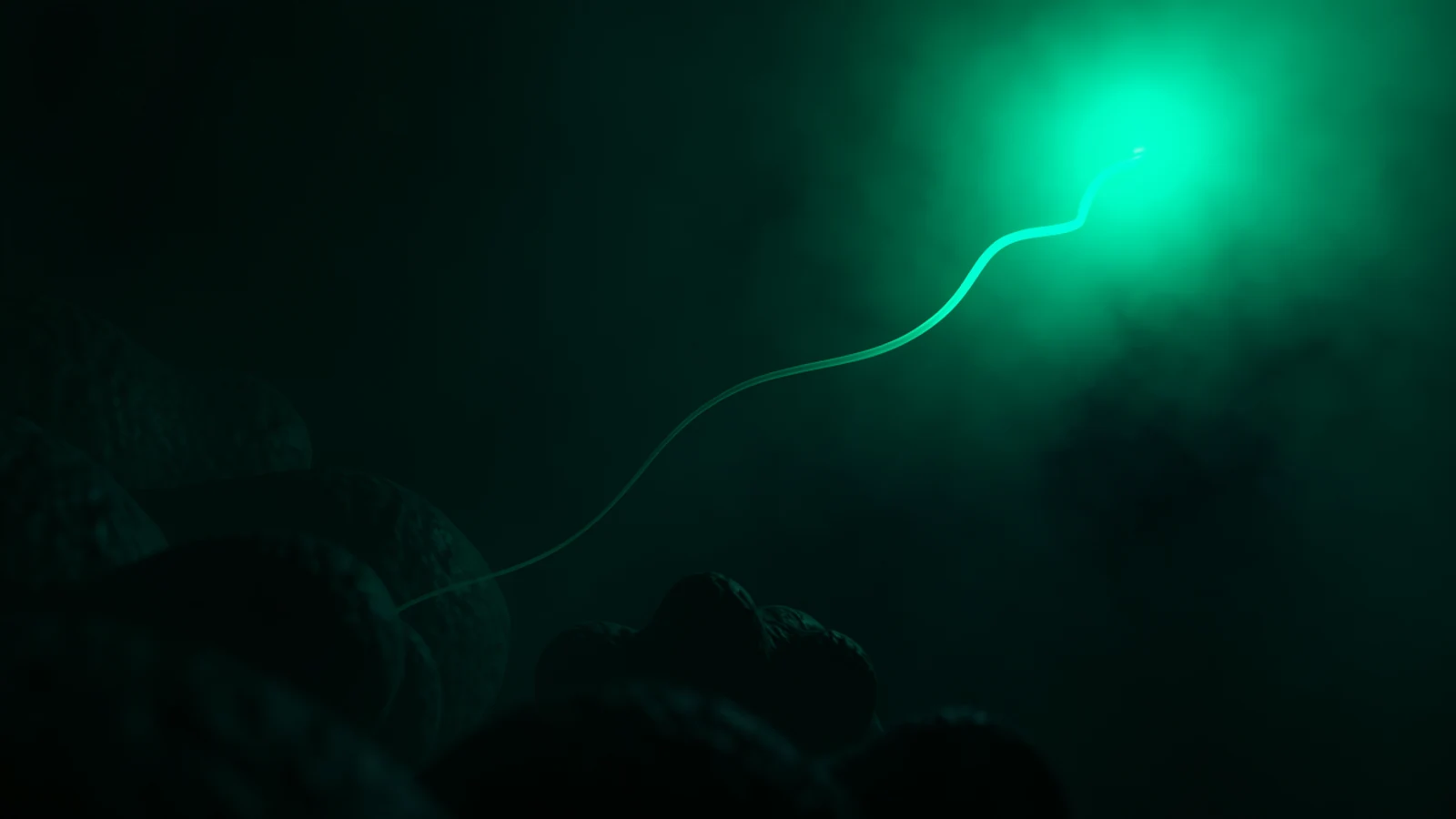 A single luminous jade thread travelling out of a soft glow and drifting past a cluster of dark, unlit forms without touching any of them.