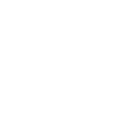 rocket icon | Braintree